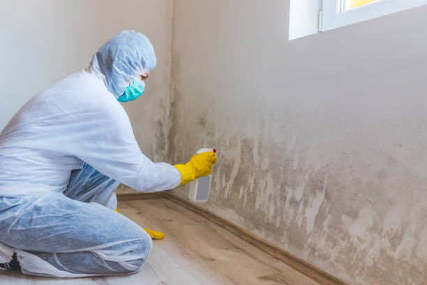 Licensed Bathroom Mold Removal service in Carversville, PA - WQB Mold Removal
