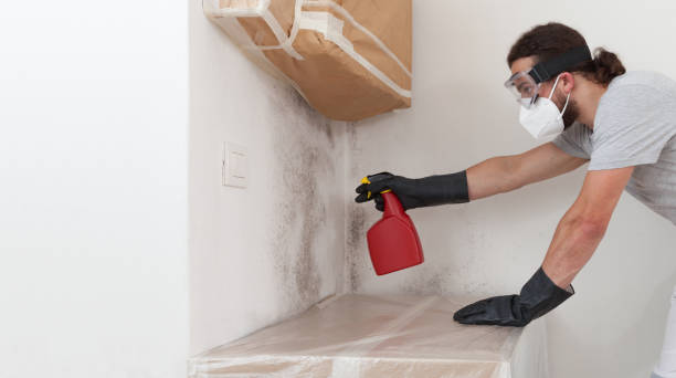 Professional Bathroom Mold Removal technician working in Carversville, PA
