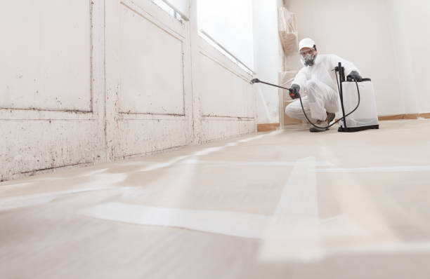 24/7 Emergency Bathroom Mold Removal experts in Carversville, PA