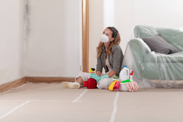 Reliable Bathroom Mold Removal contractor in Carversville, PA by WQB Mold Removal