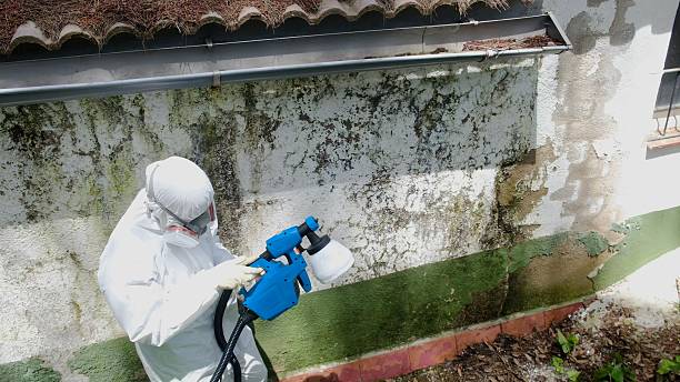 Top rated local Bathroom Mold Removal specialists in Carversville, PA